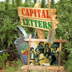 CAPITAL LETTERS | VINYARD