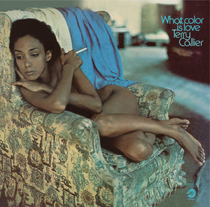 TERRY CALLIER | WHAT COLOR IS LOVE