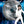 MOVIE DR | SATURDAY NIGHT FEVER 30TH ANNIVERSARY (2DVD)