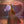 ROBIN TROWER | PASSION - AU/NZ