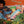GEORGE DUKE | FOLLOW THE RAINBOW - US