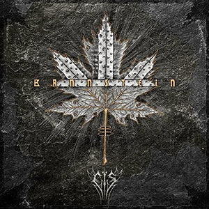 EIS | BANNSTEIN