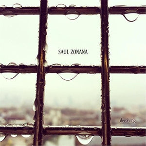 SAUL ZONANA | DEVOLVING