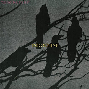 INDOCHINE | 7000 DANSES