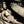 NATALIE COLE | LOVE SONGS