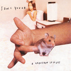 SONIC YOUTH | THOUSAND LEAVES