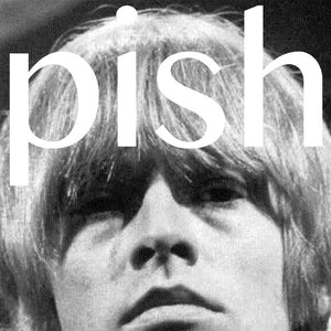 THE BRIAN JONESTOWN MASSACRE | MINI ALBUM THINGY WINGY