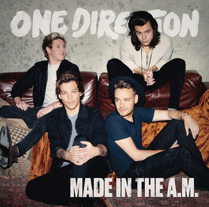 ONE DIRECTION | MADE IN THE AM