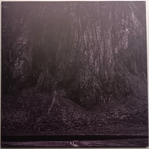 DEFACEMENT | DOOMED (VINYL)