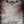 METALOCALYPSE SEASON 2 (2DVD)