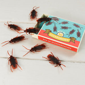 BOX OF 10 COCKROACHES RETRO