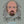 BILL BAILEY | TINSELWORM