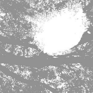 COMETS ON FIRE | FIELD RECORDINGS FROM THE SUN