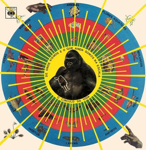 PEDRO SANTOS | KRISHNANDA