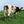 PINK FLOYD | ATOM HEART MOTHER