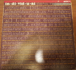 VARIOUS | INDIVIDUALS (2LP) (ROUGH COVER)