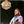 WILLIE NELSON | BEST OF WILLIE - CANADIAN - DELETION CUT