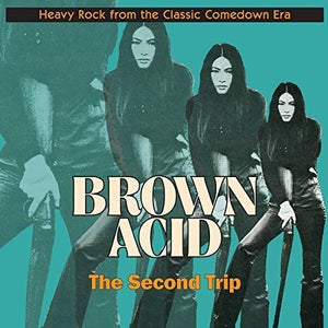 VARIOUS ARTISTS | BROWN ACID: SECOND TRIP / VARIOUS