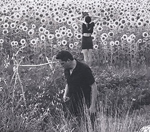 | JESU / SUN KIL MOON