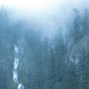 WOLVES IN THE THRONE ROOM | DIADEM OF 12 STARS (2LP SET) (VINYL)