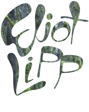 ELIOT LIPP | COME TO LIFE