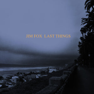 JIM FOX | LAST THINGS / COPY OF THE DRAWIN