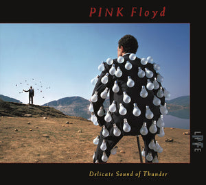 PINK FLOYD | DELICATE SOUND OF THUNDER - LIVE (2CD SET) (SOFTPACK)