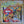 STEELY DAN | CAN'T BUY A THRILL - NZ / AU