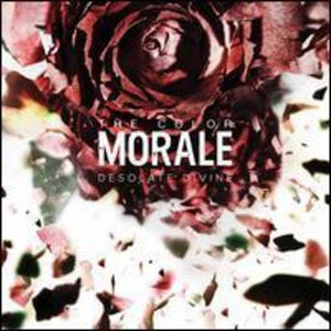 THE COLOR MORALE | DESOLATE DIVINE
