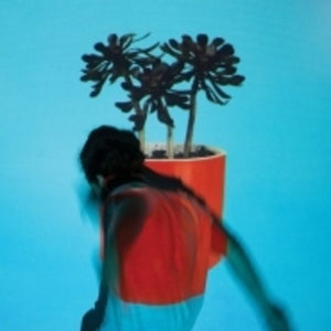 LOCAL NATIVES | SUNLIT YOUTH