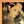NORAH JONES | DAY BREAKS