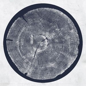 ROY MONTGOMERY | R: TROPIC OF ANODYNE