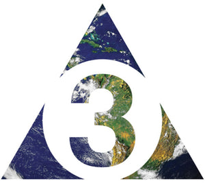 THE BRIAN JONESTOWN MASSACRE | THIRD WORLD PYRAMID