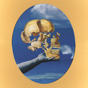 SUN ANGLE | SKULLFLOWER