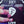 BIG 4 LIVE IN SOFIA BULGARIA (2DVD)