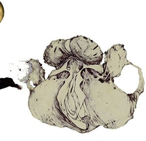 COIL | APE OF NAPLES