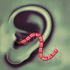 THEE OH SEES | AN ODD ENTRANCES