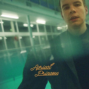 REX ORANGE COUNTY | APRICOT PRINCESS (ORANGE EDITION) (VINYL)
