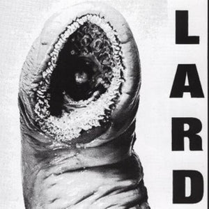 LARD | THE POWER OF LARD LP