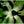 DEPECHE MODE | EXCITER