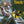 PHARCYDE | BIZARRE RIDE 2 - THE PHARCYDE