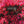WHIT DICKEY^MAT MANERI^MATTHEW SHIPP | VESSEL IN ORBIT