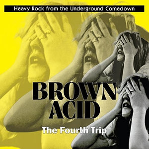 VARIOUS ARTISTS | BROWN ACID: FOURTH TRIP / VARIOUS