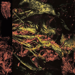 HISSING | PERMANENT DESTITUTION