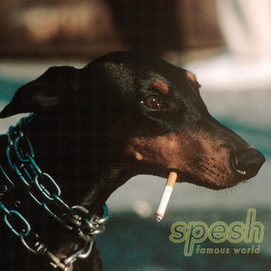 SPESH | FAMOUS WORLD