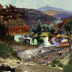 TINGSEK | AMYGDALA
