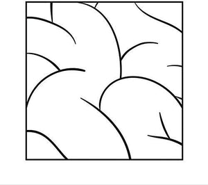 INTELLEXUAL | INTELLEXUAL