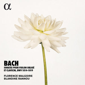 | SONATES VIOLON OBLIGE