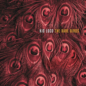 KID LOCO | RARE BIRDS