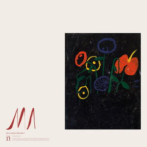 DEVENDRA BANHART | MA